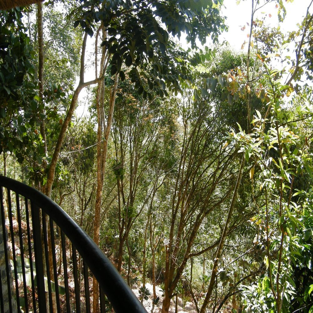 Poetree Thekkady Hotel Kültér fotó